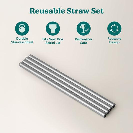 saltini-straw-set-g3 4PK_SaltiniStraws_SS-2.jpg