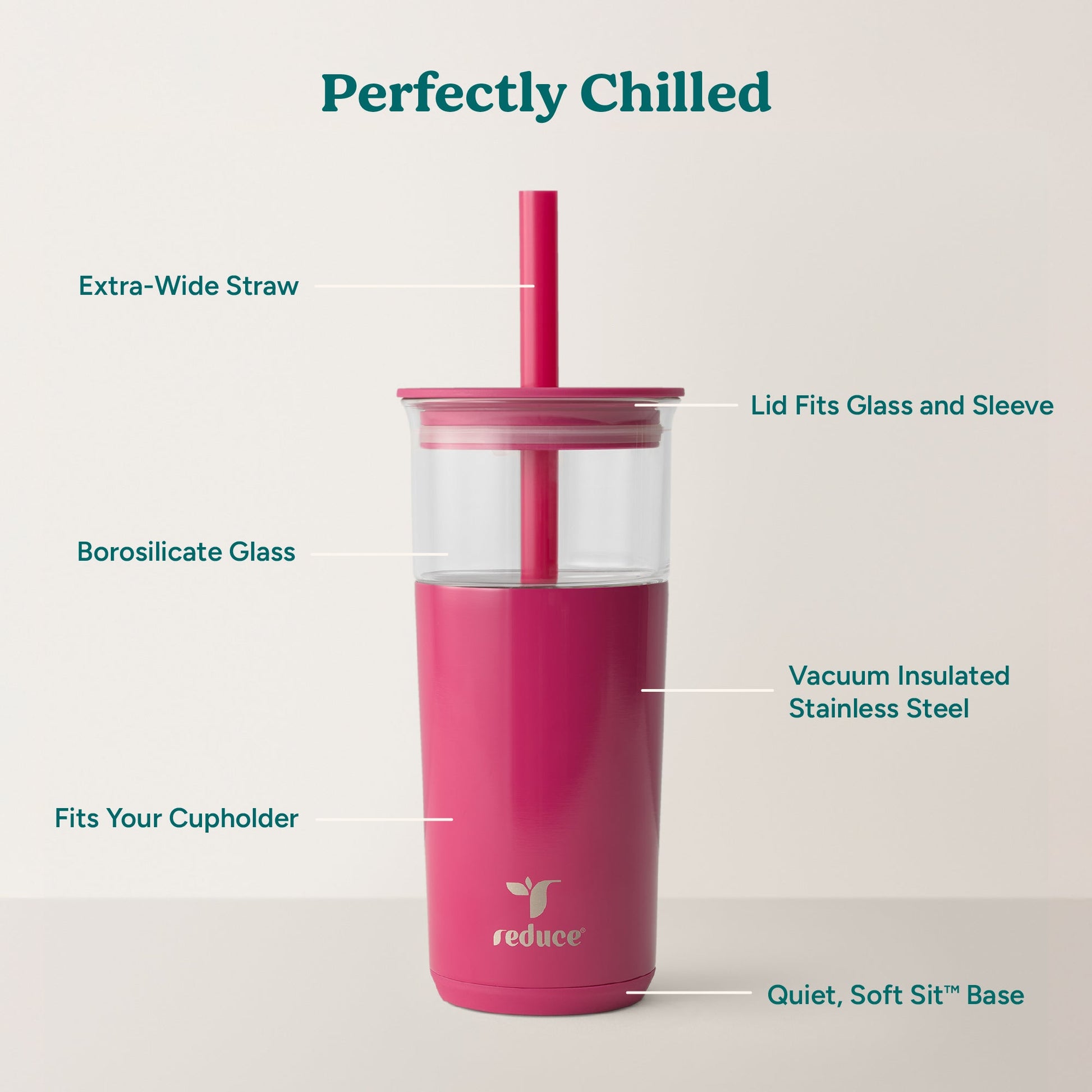 aspen-20-oz-p0 Aspen_Dragonfruit_PDP_Infographic2.jpg