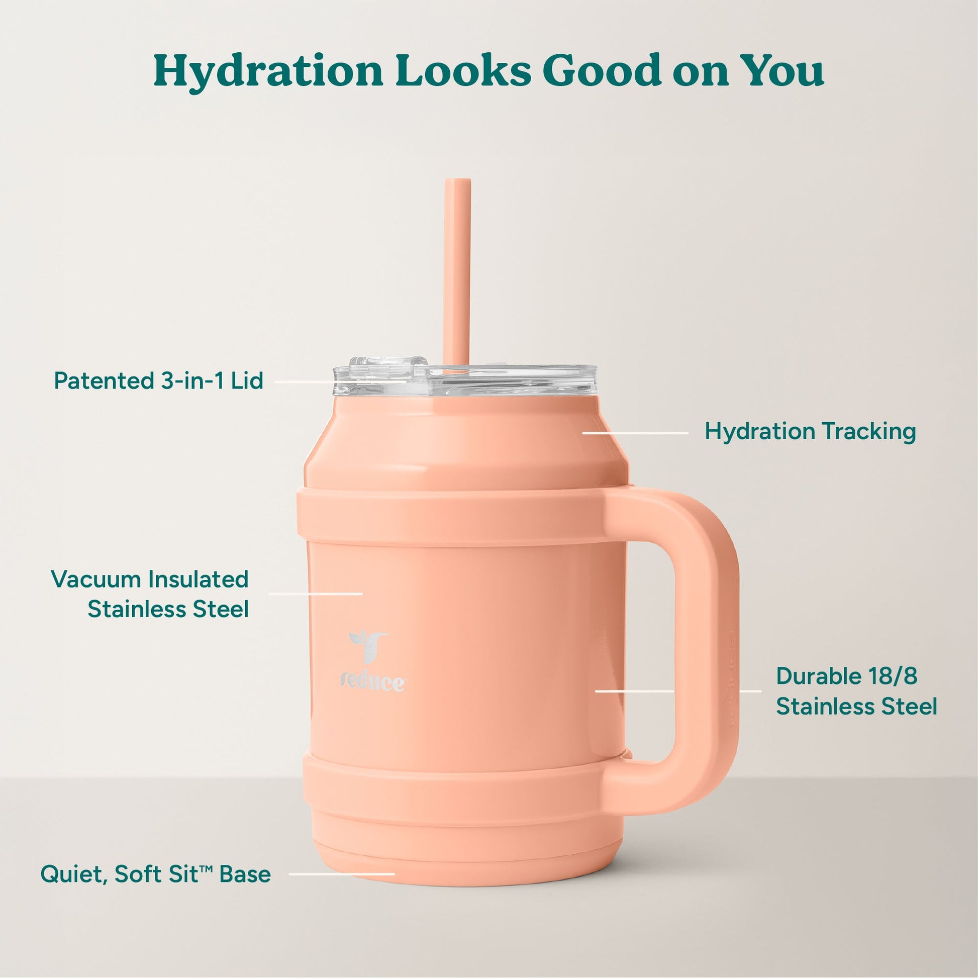 cold1-desktop-50-oz-c9 Cold1_50oz_Desktop_Sedona_Infographic_2.jpg
