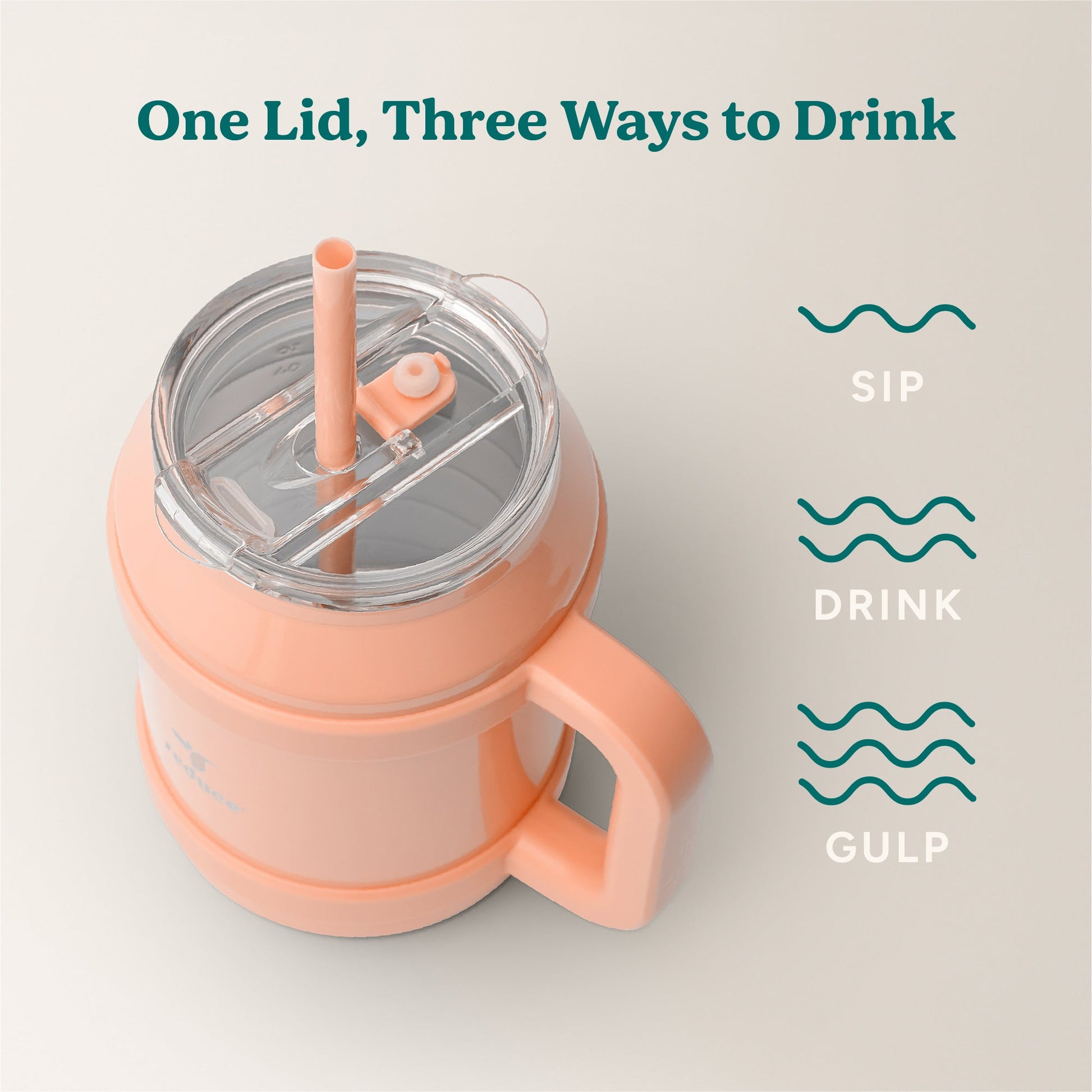 cold1-desktop-50-oz-c9 Cold1_50oz_Desktop_Sedona_Infographic_3.jpg